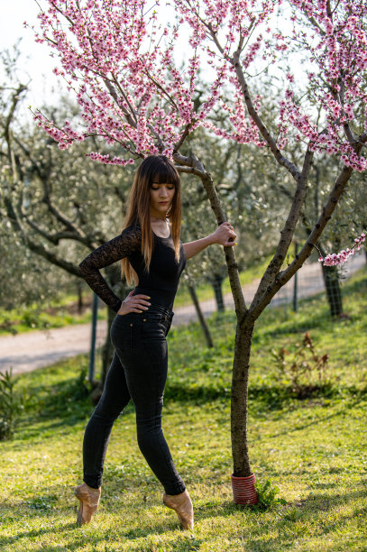 芭蕾舞女演员在大自然的草地上跳舞图片下载