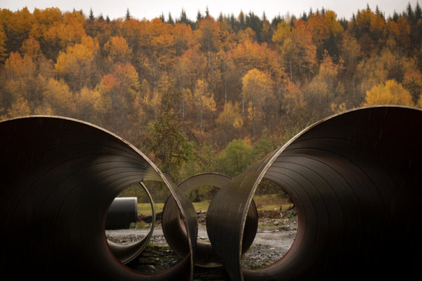 金属管前面的多色树背景。图片下载