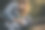 妈妈用婴儿车带着他的孩子出去图片下载