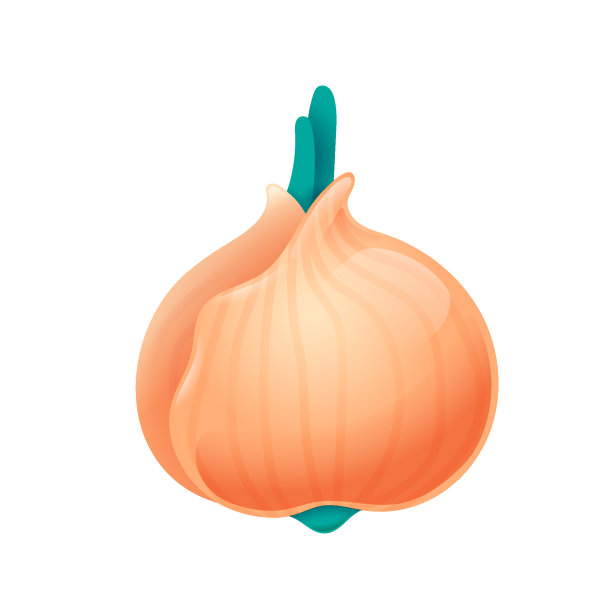 新鲜卡通洋葱，韭菜。矢量插图孤立在白色背景上。天然蔬菜食品农贸市场菜单，送货服务，产品包装，健康烹饪。素食主义者的饮食图片下载