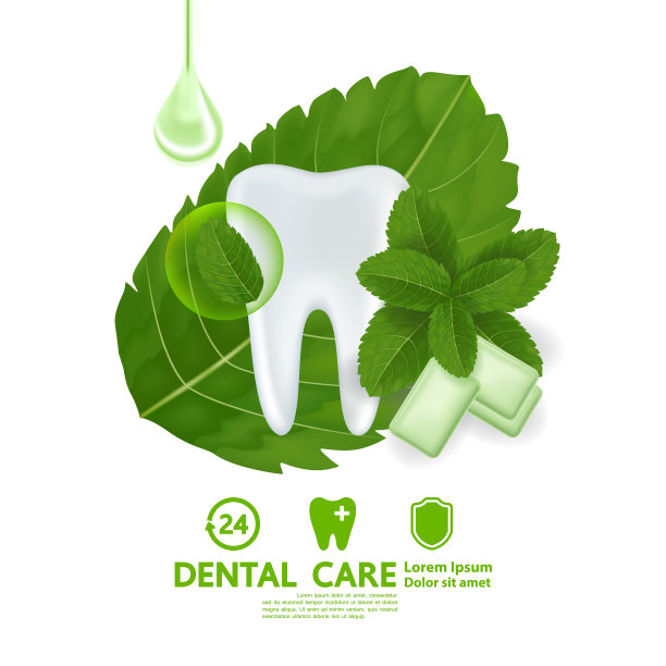 牙科护理与薄荷叶矢量插图。图片下载