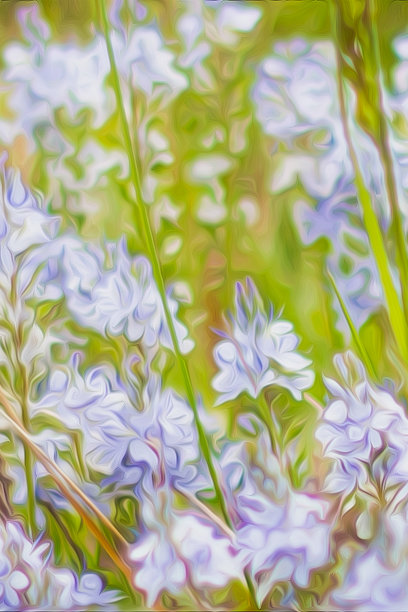 蓝色的油画在照片中描绘大自然在春天盛开的花朵图片下载