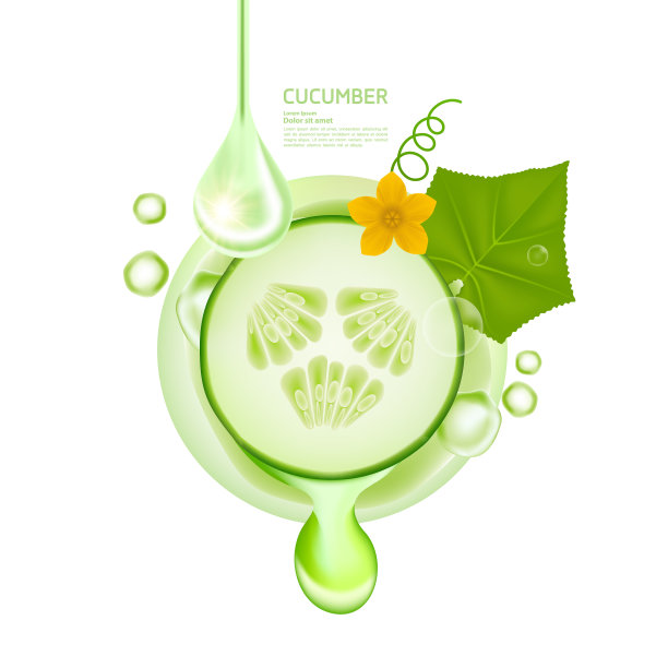 优质黄瓜鲜产品矢量图。图片下载