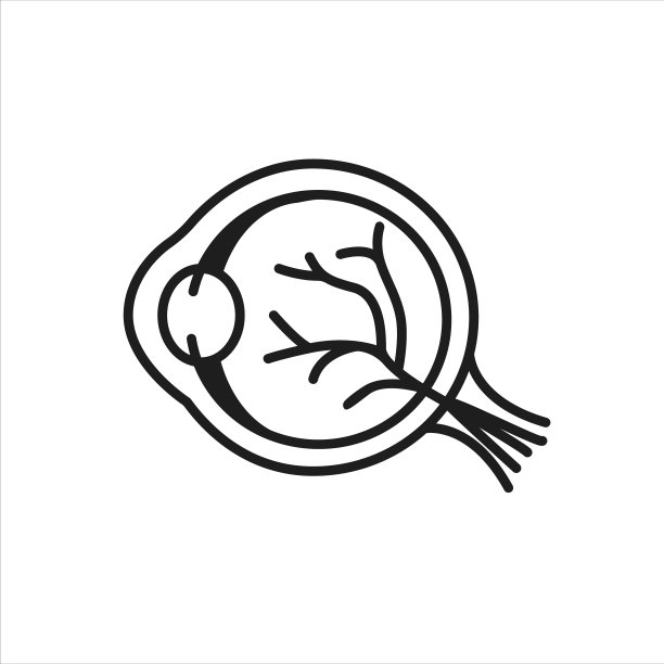 病媒医学插图的眼睛解剖孤立上白色图片下载