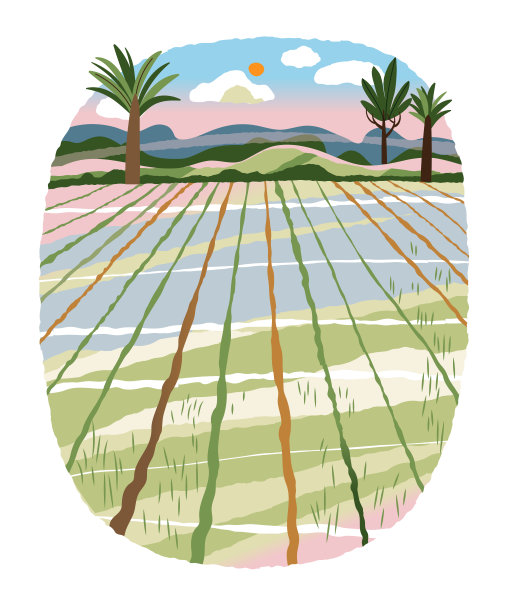 种植亚洲农民的农作物。农业农场与绿色植物生长在土地与路径矢量插图。以大自然为背景的木屋、山峦、天空图片下载