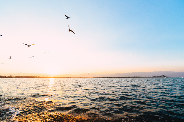 令人敬畏的日落天空和鸟在自然风景的海滩和海上飞翔图片下载