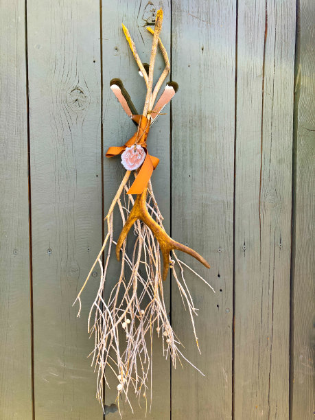 圣达菲风格:绿色门装饰图片下载