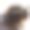 杯中的咖啡(黑色)图片下载