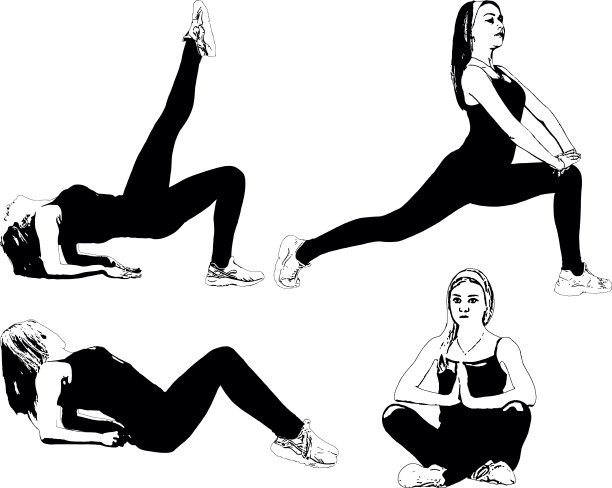 运动，苗条的女孩做运动来伸展肌肉图片下载
