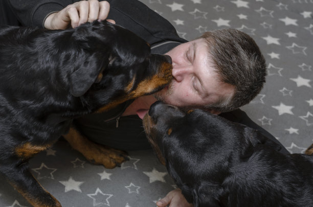一个带着黑狗的男人躺在一条缀有白星的灰色毯子上。图片下载