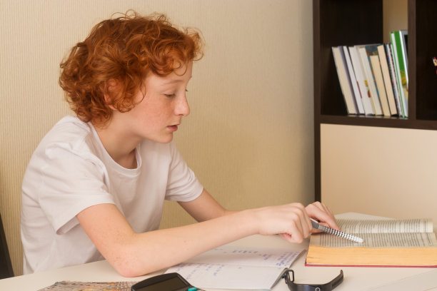 一个青少年正在家里学习。图片下载