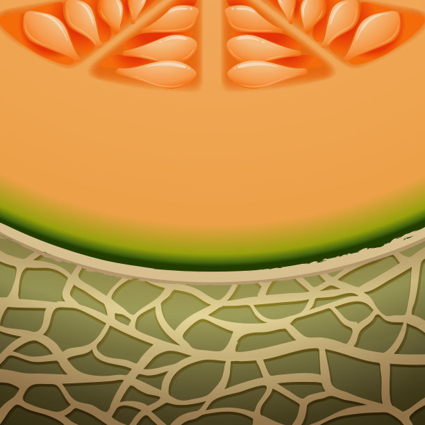 哈密瓜皮半片质地图片下载