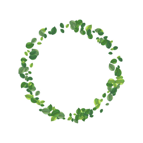 美丽的飞翔的绿茶叶子图片下载