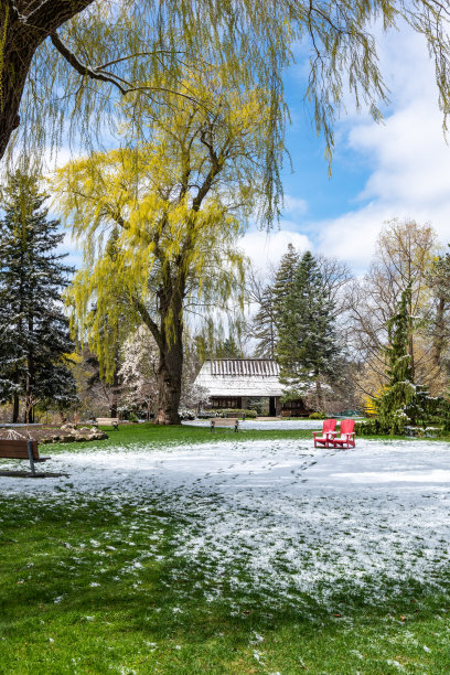 爱德华花园与雪在春天，多伦多，加拿大图片下载