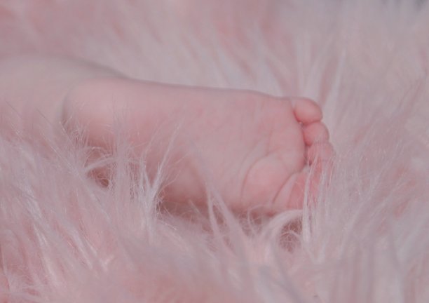 新生的脚在粉红色的毛皮中图片下载