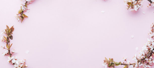 五月的花。春花和四月花的自然在粉红色的背景。美丽的景色与盛开的树。复活节晴天。果园抽象模糊的背景。春天。图片下载