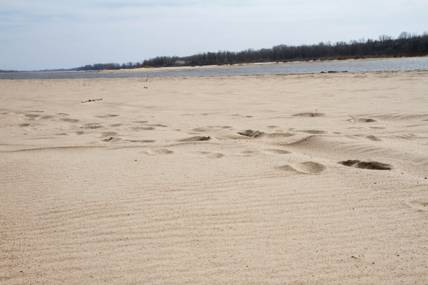 沙滩上的脚印图片下载