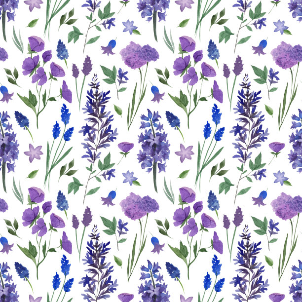 水彩无缝图案春天野花在紫色。一套插图与丁香花。图片下载