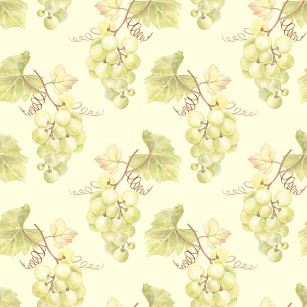 绿色葡萄无缝图案上的黄绿背景。水彩插图。清新多汁的绘画;完美的农家乐风格-厨房装饰和纺织品，包装纸和更多。图片下载