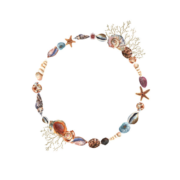 美丽的水彩圈花环与彩色的贝壳，星星和植物装饰设计。艺术背景。水下花卉插图图片下载