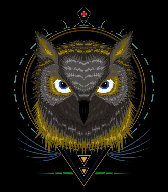 猫头鹰的标志。用于t恤设计印刷的猫头鹰插图图片下载