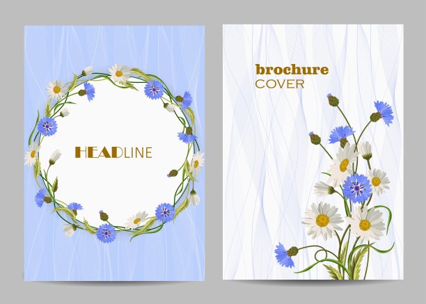 现代矢量模板的小册子封面在A4图片下载