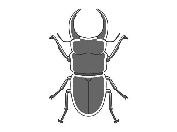 日本雄鹿甲虫插图。图片下载