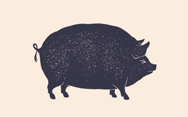 猪肉、猪。复古印花，猪的剪影图片下载