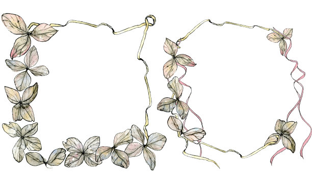 装饰框架和绣球花瓣花环，水彩插图在素描风格。与拷贝空间的花边框，孤立在白色背景上。粉彩雅致的干花。图片下载