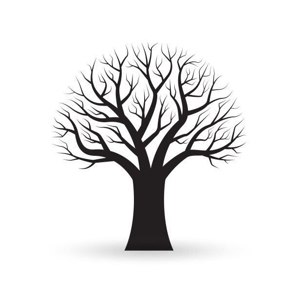 树枝裸露的树。秋冬裸树剪影。矢量插图。图片下载