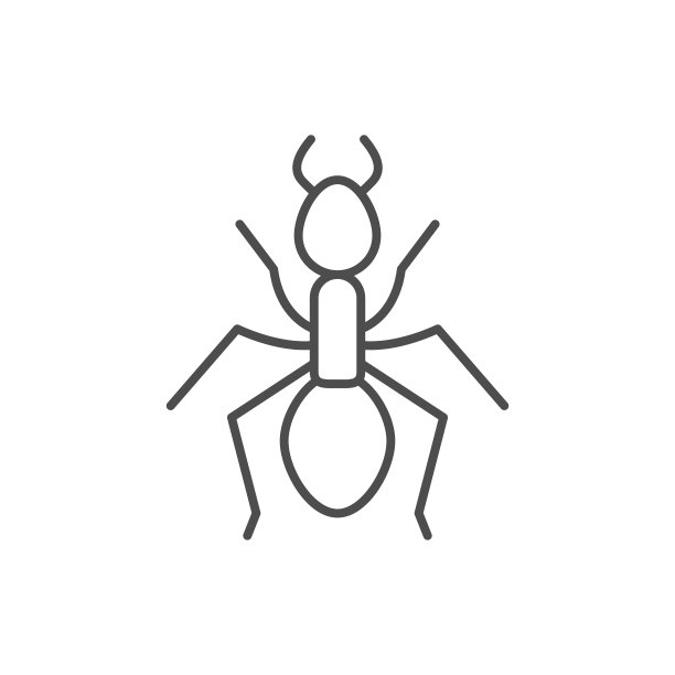 蚂蚁线轮廓图标或昆虫概念图片下载