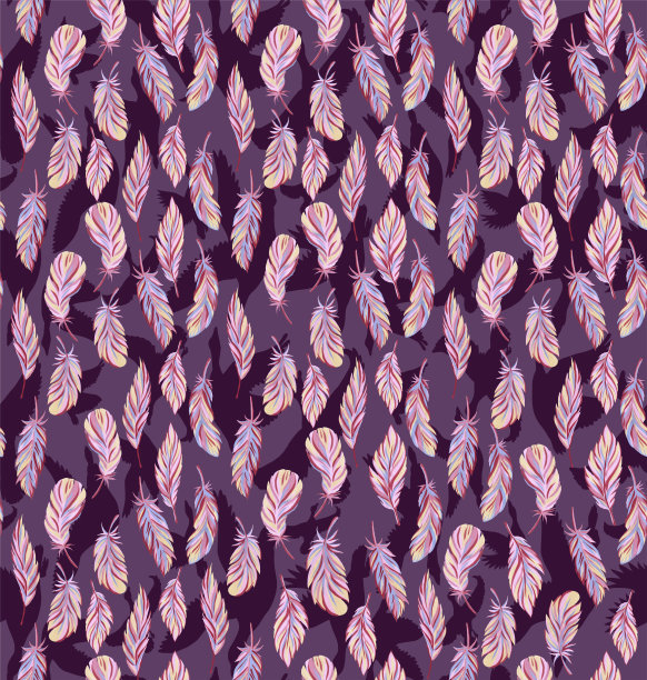 不同鸟类的羽毛背景图片下载