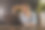 疫情期间年轻学生与同事聊天讨论在线考试的照片。图片下载