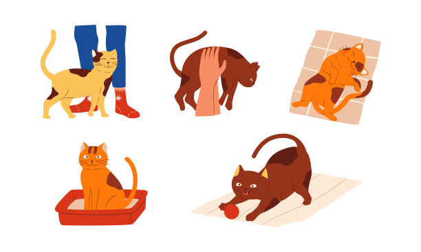 卡通猫可爱的场景与小猫宠物的主人图片下载