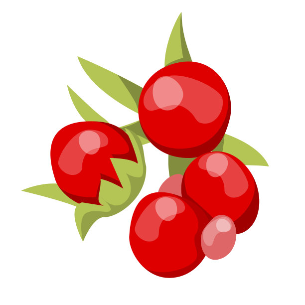 核树莓孤立的红色甜浆果图片下载