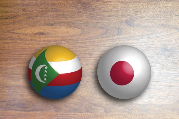 日本与科摩罗的双边关系图片下载