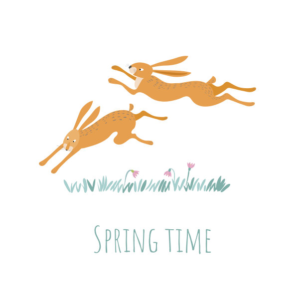 两只红兔子在田野里奔跑。有趣的兔子。春天的时间。图片下载