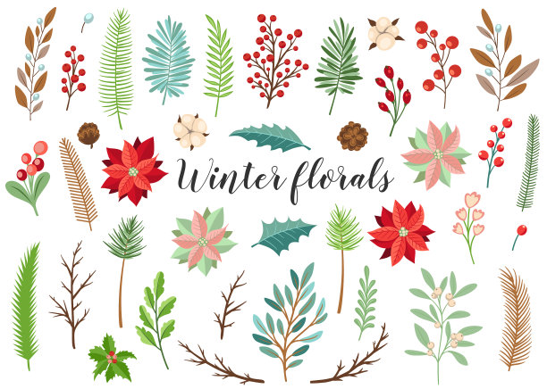 装饰性的冬季花卉元素图片下载