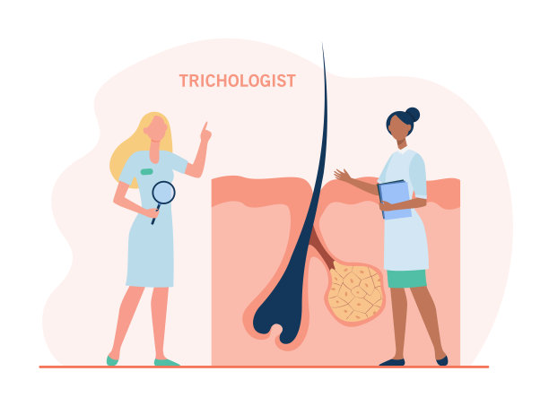 微小的毛发学家研究毛囊图片下载