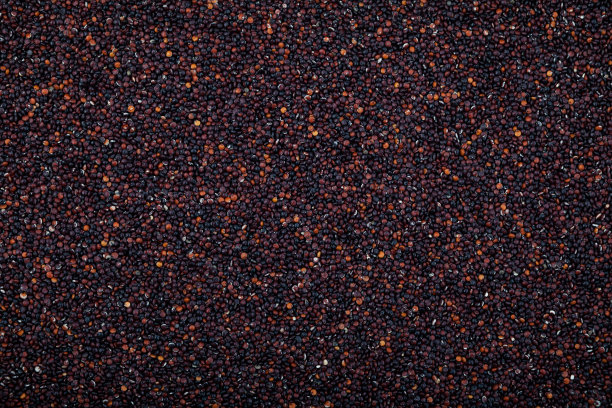 秘鲁种子黑藜麦，特写。前视图。谷物含有大量的蛋白质、抗氧化剂、膳食纤维、维生素和矿物质，这些都是健康饮食的关键图片下载