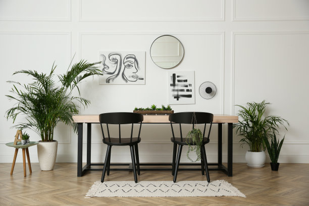 时尚的客厅内部与美丽的室内植物图片下载