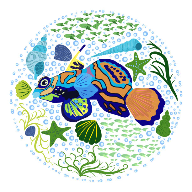 鳜鱼美丽的性格在贝壳之中图片下载