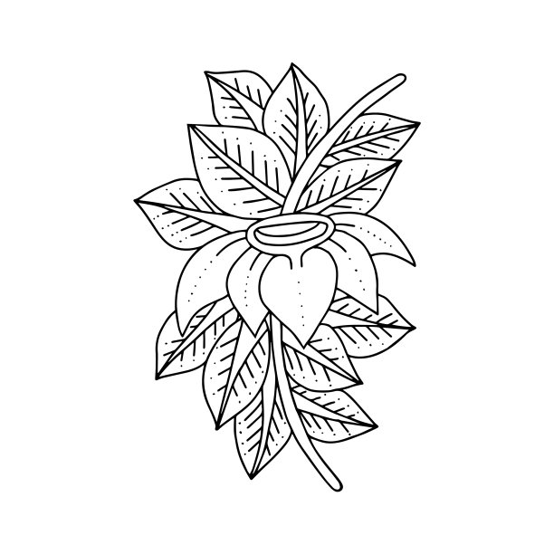 手绘花装饰在黑色和白色图片下载