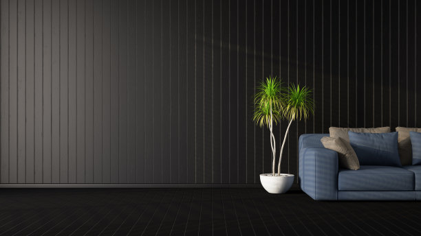 现代室内概念与沙发图片下载