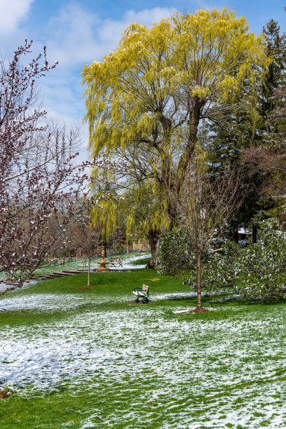 爱德华花园与雪在春天，多伦多，加拿大图片下载