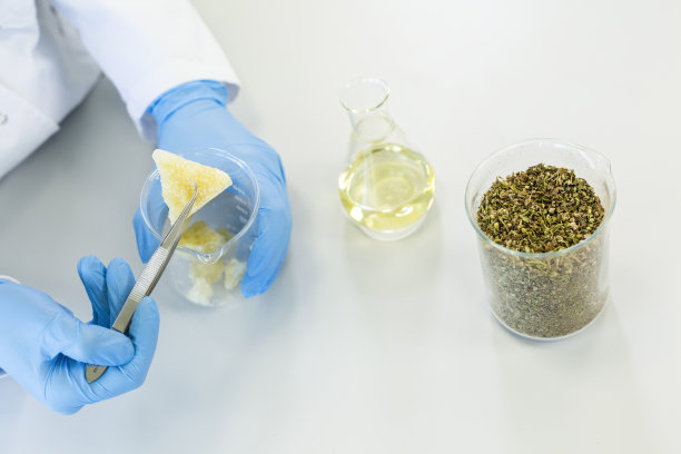 手在实验室用镊子工作CBD萜烯晶体图片下载