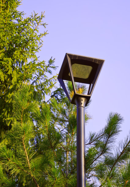 公园里的路灯图片下载