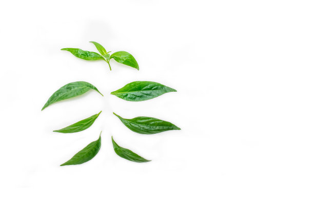 安德烈斯恐慌图片下载