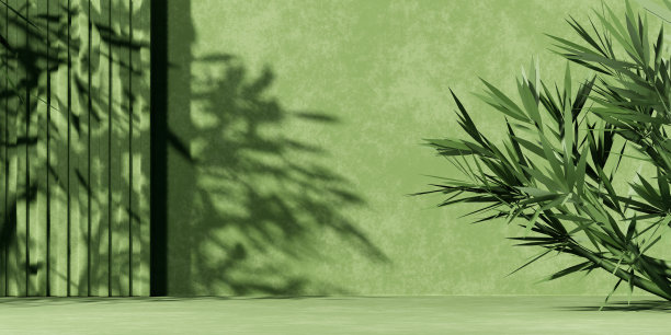 最小抽象背景与3D混凝土平台显示与绿色树叶图片下载