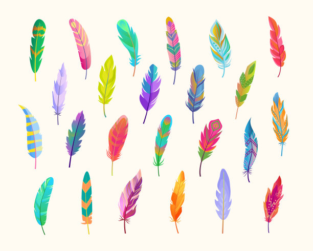 奇特的鸟羽毛集丰富的瀑布图片下载